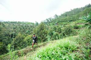 BIB: 
                            <button type="button" onclick="openModal(26395012)" class="btn btn-primary btn-sm float-right btn-popup" data-toggle="modal" data-target=".modal-high-quality">
                        <i class="fas fa-shopping-cart"></i> Add to Cart
                    </button>
                                            <button type="button" onclick="isThisMe(26395012, true)" class="btn btn-success btn-sm float-right btn-popup btn-isme hidden" data-toggle="tooltip" data-placement="bottom" title="นี่คือรูปของคุณใช่ไหม คลิกที่นี่เพื่อเอาเข้าอัลบั้ม">
                        <i class="fas fa-plus"></i> Add to album
                    </button>
                    <button type="button" onclick="isThisMe(26395012, false)" class="btn btn-warning btn-sm float-right btn-popup btn-isnotme hidden">
                        <i class="fas fa-ban"></i> Remove from album
                    </button>