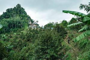 BIB: 
                            <button type="button" onclick="openModal(26396844)" class="btn btn-primary btn-sm float-right btn-popup" data-toggle="modal" data-target=".modal-high-quality">
                        <i class="fas fa-shopping-cart"></i> Add to Cart
                    </button>
                                            <button type="button" onclick="isThisMe(26396844, true)" class="btn btn-success btn-sm float-right btn-popup btn-isme hidden" data-toggle="tooltip" data-placement="bottom" title="นี่คือรูปของคุณใช่ไหม คลิกที่นี่เพื่อเอาเข้าอัลบั้ม">
                        <i class="fas fa-plus"></i> Add to album
                    </button>
                    <button type="button" onclick="isThisMe(26396844, false)" class="btn btn-warning btn-sm float-right btn-popup btn-isnotme hidden">
                        <i class="fas fa-ban"></i> Remove from album
                    </button>