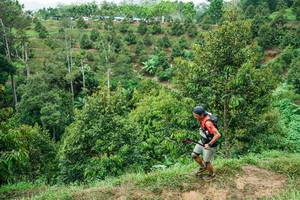 BIB: 
                            <button type="button" onclick="openModal(26397320)" class="btn btn-primary btn-sm float-right btn-popup" data-toggle="modal" data-target=".modal-high-quality">
                        <i class="fas fa-shopping-cart"></i> Add to Cart
                    </button>
                                            <button type="button" onclick="isThisMe(26397320, true)" class="btn btn-success btn-sm float-right btn-popup btn-isme hidden" data-toggle="tooltip" data-placement="bottom" title="นี่คือรูปของคุณใช่ไหม คลิกที่นี่เพื่อเอาเข้าอัลบั้ม">
                        <i class="fas fa-plus"></i> Add to album
                    </button>
                    <button type="button" onclick="isThisMe(26397320, false)" class="btn btn-warning btn-sm float-right btn-popup btn-isnotme hidden">
                        <i class="fas fa-ban"></i> Remove from album
                    </button>