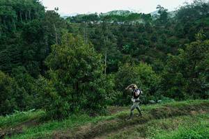 BIB: 
                            <button type="button" onclick="openModal(26396839)" class="btn btn-primary btn-sm float-right btn-popup" data-toggle="modal" data-target=".modal-high-quality">
                        <i class="fas fa-shopping-cart"></i> Add to Cart
                    </button>
                                            <button type="button" onclick="isThisMe(26396839, true)" class="btn btn-success btn-sm float-right btn-popup btn-isme hidden" data-toggle="tooltip" data-placement="bottom" title="นี่คือรูปของคุณใช่ไหม คลิกที่นี่เพื่อเอาเข้าอัลบั้ม">
                        <i class="fas fa-plus"></i> Add to album
                    </button>
                    <button type="button" onclick="isThisMe(26396839, false)" class="btn btn-warning btn-sm float-right btn-popup btn-isnotme hidden">
                        <i class="fas fa-ban"></i> Remove from album
                    </button>