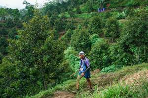 BIB: 
                            <button type="button" onclick="openModal(26401989)" class="btn btn-primary btn-sm float-right btn-popup" data-toggle="modal" data-target=".modal-high-quality">
                        <i class="fas fa-shopping-cart"></i> Add to Cart
                    </button>
                                            <button type="button" onclick="isThisMe(26401989, true)" class="btn btn-success btn-sm float-right btn-popup btn-isme hidden" data-toggle="tooltip" data-placement="bottom" title="นี่คือรูปของคุณใช่ไหม คลิกที่นี่เพื่อเอาเข้าอัลบั้ม">
                        <i class="fas fa-plus"></i> Add to album
                    </button>
                    <button type="button" onclick="isThisMe(26401989, false)" class="btn btn-warning btn-sm float-right btn-popup btn-isnotme hidden">
                        <i class="fas fa-ban"></i> Remove from album
                    </button>