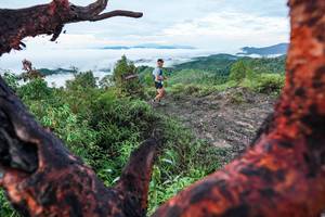 BIB: 
                            <button type="button" onclick="openModal(26372176)" class="btn btn-primary btn-sm float-right btn-popup" data-toggle="modal" data-target=".modal-high-quality">
                        <i class="fas fa-shopping-cart"></i> Add to Cart
                    </button>
                                            <button type="button" onclick="isThisMe(26372176, true)" class="btn btn-success btn-sm float-right btn-popup btn-isme hidden" data-toggle="tooltip" data-placement="bottom" title="นี่คือรูปของคุณใช่ไหม คลิกที่นี่เพื่อเอาเข้าอัลบั้ม">
                        <i class="fas fa-plus"></i> Add to album
                    </button>
                    <button type="button" onclick="isThisMe(26372176, false)" class="btn btn-warning btn-sm float-right btn-popup btn-isnotme hidden">
                        <i class="fas fa-ban"></i> Remove from album
                    </button>