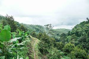 BIB: 
                            <button type="button" onclick="openModal(26396536)" class="btn btn-primary btn-sm float-right btn-popup" data-toggle="modal" data-target=".modal-high-quality">
                        <i class="fas fa-shopping-cart"></i> Add to Cart
                    </button>
                                            <button type="button" onclick="isThisMe(26396536, true)" class="btn btn-success btn-sm float-right btn-popup btn-isme hidden" data-toggle="tooltip" data-placement="bottom" title="นี่คือรูปของคุณใช่ไหม คลิกที่นี่เพื่อเอาเข้าอัลบั้ม">
                        <i class="fas fa-plus"></i> Add to album
                    </button>
                    <button type="button" onclick="isThisMe(26396536, false)" class="btn btn-warning btn-sm float-right btn-popup btn-isnotme hidden">
                        <i class="fas fa-ban"></i> Remove from album
                    </button>