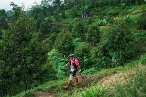 BIB: 
                            <button type="button" onclick="openModal(26402072)" class="btn btn-primary btn-sm float-right btn-popup" data-toggle="modal" data-target=".modal-high-quality">
                        <i class="fas fa-shopping-cart"></i> Add to Cart
                    </button>
                                            <button type="button" onclick="isThisMe(26402072, true)" class="btn btn-success btn-sm float-right btn-popup btn-isme hidden" data-toggle="tooltip" data-placement="bottom" title="นี่คือรูปของคุณใช่ไหม คลิกที่นี่เพื่อเอาเข้าอัลบั้ม">
                        <i class="fas fa-plus"></i> Add to album
                    </button>
                    <button type="button" onclick="isThisMe(26402072, false)" class="btn btn-warning btn-sm float-right btn-popup btn-isnotme hidden">
                        <i class="fas fa-ban"></i> Remove from album
                    </button>