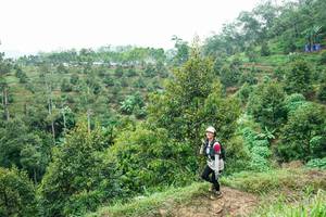 BIB: 
                            <button type="button" onclick="openModal(26397854)" class="btn btn-primary btn-sm float-right btn-popup" data-toggle="modal" data-target=".modal-high-quality">
                        <i class="fas fa-shopping-cart"></i> Add to Cart
                    </button>
                                            <button type="button" onclick="isThisMe(26397854, true)" class="btn btn-success btn-sm float-right btn-popup btn-isme hidden" data-toggle="tooltip" data-placement="bottom" title="นี่คือรูปของคุณใช่ไหม คลิกที่นี่เพื่อเอาเข้าอัลบั้ม">
                        <i class="fas fa-plus"></i> Add to album
                    </button>
                    <button type="button" onclick="isThisMe(26397854, false)" class="btn btn-warning btn-sm float-right btn-popup btn-isnotme hidden">
                        <i class="fas fa-ban"></i> Remove from album
                    </button>