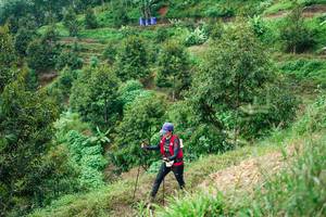 BIB: 
                            <button type="button" onclick="openModal(26401845)" class="btn btn-primary btn-sm float-right btn-popup" data-toggle="modal" data-target=".modal-high-quality">
                        <i class="fas fa-shopping-cart"></i> Add to Cart
                    </button>
                                            <button type="button" onclick="isThisMe(26401845, true)" class="btn btn-success btn-sm float-right btn-popup btn-isme hidden" data-toggle="tooltip" data-placement="bottom" title="นี่คือรูปของคุณใช่ไหม คลิกที่นี่เพื่อเอาเข้าอัลบั้ม">
                        <i class="fas fa-plus"></i> Add to album
                    </button>
                    <button type="button" onclick="isThisMe(26401845, false)" class="btn btn-warning btn-sm float-right btn-popup btn-isnotme hidden">
                        <i class="fas fa-ban"></i> Remove from album
                    </button>