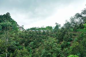 BIB: 
                            <button type="button" onclick="openModal(26396836)" class="btn btn-primary btn-sm float-right btn-popup" data-toggle="modal" data-target=".modal-high-quality">
                        <i class="fas fa-shopping-cart"></i> Add to Cart
                    </button>
                                            <button type="button" onclick="isThisMe(26396836, true)" class="btn btn-success btn-sm float-right btn-popup btn-isme hidden" data-toggle="tooltip" data-placement="bottom" title="นี่คือรูปของคุณใช่ไหม คลิกที่นี่เพื่อเอาเข้าอัลบั้ม">
                        <i class="fas fa-plus"></i> Add to album
                    </button>
                    <button type="button" onclick="isThisMe(26396836, false)" class="btn btn-warning btn-sm float-right btn-popup btn-isnotme hidden">
                        <i class="fas fa-ban"></i> Remove from album
                    </button>