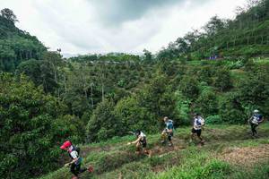 BIB: 
                            <button type="button" onclick="openModal(26394929)" class="btn btn-primary btn-sm float-right btn-popup" data-toggle="modal" data-target=".modal-high-quality">
                        <i class="fas fa-shopping-cart"></i> Add to Cart
                    </button>
                                            <button type="button" onclick="isThisMe(26394929, true)" class="btn btn-success btn-sm float-right btn-popup btn-isme hidden" data-toggle="tooltip" data-placement="bottom" title="นี่คือรูปของคุณใช่ไหม คลิกที่นี่เพื่อเอาเข้าอัลบั้ม">
                        <i class="fas fa-plus"></i> Add to album
                    </button>
                    <button type="button" onclick="isThisMe(26394929, false)" class="btn btn-warning btn-sm float-right btn-popup btn-isnotme hidden">
                        <i class="fas fa-ban"></i> Remove from album
                    </button>