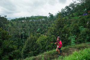 BIB: 
                            <button type="button" onclick="openModal(26395339)" class="btn btn-primary btn-sm float-right btn-popup" data-toggle="modal" data-target=".modal-high-quality">
                        <i class="fas fa-shopping-cart"></i> Add to Cart
                    </button>
                                            <button type="button" onclick="isThisMe(26395339, true)" class="btn btn-success btn-sm float-right btn-popup btn-isme hidden" data-toggle="tooltip" data-placement="bottom" title="นี่คือรูปของคุณใช่ไหม คลิกที่นี่เพื่อเอาเข้าอัลบั้ม">
                        <i class="fas fa-plus"></i> Add to album
                    </button>
                    <button type="button" onclick="isThisMe(26395339, false)" class="btn btn-warning btn-sm float-right btn-popup btn-isnotme hidden">
                        <i class="fas fa-ban"></i> Remove from album
                    </button>