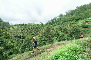 BIB: 
                            <button type="button" onclick="openModal(26396339)" class="btn btn-primary btn-sm float-right btn-popup" data-toggle="modal" data-target=".modal-high-quality">
                        <i class="fas fa-shopping-cart"></i> Add to Cart
                    </button>
                                            <button type="button" onclick="isThisMe(26396339, true)" class="btn btn-success btn-sm float-right btn-popup btn-isme hidden" data-toggle="tooltip" data-placement="bottom" title="นี่คือรูปของคุณใช่ไหม คลิกที่นี่เพื่อเอาเข้าอัลบั้ม">
                        <i class="fas fa-plus"></i> Add to album
                    </button>
                    <button type="button" onclick="isThisMe(26396339, false)" class="btn btn-warning btn-sm float-right btn-popup btn-isnotme hidden">
                        <i class="fas fa-ban"></i> Remove from album
                    </button>