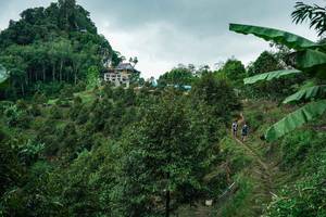 BIB: 
                            <button type="button" onclick="openModal(26396777)" class="btn btn-primary btn-sm float-right btn-popup" data-toggle="modal" data-target=".modal-high-quality">
                        <i class="fas fa-shopping-cart"></i> Add to Cart
                    </button>
                                            <button type="button" onclick="isThisMe(26396777, true)" class="btn btn-success btn-sm float-right btn-popup btn-isme hidden" data-toggle="tooltip" data-placement="bottom" title="นี่คือรูปของคุณใช่ไหม คลิกที่นี่เพื่อเอาเข้าอัลบั้ม">
                        <i class="fas fa-plus"></i> Add to album
                    </button>
                    <button type="button" onclick="isThisMe(26396777, false)" class="btn btn-warning btn-sm float-right btn-popup btn-isnotme hidden">
                        <i class="fas fa-ban"></i> Remove from album
                    </button>