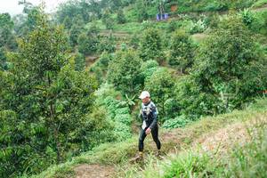 BIB: 
                            <button type="button" onclick="openModal(26397984)" class="btn btn-primary btn-sm float-right btn-popup" data-toggle="modal" data-target=".modal-high-quality">
                        <i class="fas fa-shopping-cart"></i> Add to Cart
                    </button>
                                            <button type="button" onclick="isThisMe(26397984, true)" class="btn btn-success btn-sm float-right btn-popup btn-isme hidden" data-toggle="tooltip" data-placement="bottom" title="นี่คือรูปของคุณใช่ไหม คลิกที่นี่เพื่อเอาเข้าอัลบั้ม">
                        <i class="fas fa-plus"></i> Add to album
                    </button>
                    <button type="button" onclick="isThisMe(26397984, false)" class="btn btn-warning btn-sm float-right btn-popup btn-isnotme hidden">
                        <i class="fas fa-ban"></i> Remove from album
                    </button>