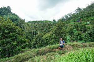 BIB: 
                            <button type="button" onclick="openModal(26394968)" class="btn btn-primary btn-sm float-right btn-popup" data-toggle="modal" data-target=".modal-high-quality">
                        <i class="fas fa-shopping-cart"></i> Add to Cart
                    </button>
                                            <button type="button" onclick="isThisMe(26394968, true)" class="btn btn-success btn-sm float-right btn-popup btn-isme hidden" data-toggle="tooltip" data-placement="bottom" title="นี่คือรูปของคุณใช่ไหม คลิกที่นี่เพื่อเอาเข้าอัลบั้ม">
                        <i class="fas fa-plus"></i> Add to album
                    </button>
                    <button type="button" onclick="isThisMe(26394968, false)" class="btn btn-warning btn-sm float-right btn-popup btn-isnotme hidden">
                        <i class="fas fa-ban"></i> Remove from album
                    </button>