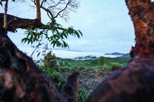 BIB: 
                            <button type="button" onclick="openModal(26372000)" class="btn btn-primary btn-sm float-right btn-popup" data-toggle="modal" data-target=".modal-high-quality">
                        <i class="fas fa-shopping-cart"></i> Add to Cart
                    </button>
                                            <button type="button" onclick="isThisMe(26372000, true)" class="btn btn-success btn-sm float-right btn-popup btn-isme hidden" data-toggle="tooltip" data-placement="bottom" title="นี่คือรูปของคุณใช่ไหม คลิกที่นี่เพื่อเอาเข้าอัลบั้ม">
                        <i class="fas fa-plus"></i> Add to album
                    </button>
                    <button type="button" onclick="isThisMe(26372000, false)" class="btn btn-warning btn-sm float-right btn-popup btn-isnotme hidden">
                        <i class="fas fa-ban"></i> Remove from album
                    </button>