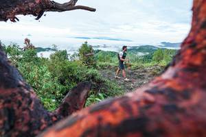 BIB: 
                            <button type="button" onclick="openModal(26372289)" class="btn btn-primary btn-sm float-right btn-popup" data-toggle="modal" data-target=".modal-high-quality">
                        <i class="fas fa-shopping-cart"></i> Add to Cart
                    </button>
                                            <button type="button" onclick="isThisMe(26372289, true)" class="btn btn-success btn-sm float-right btn-popup btn-isme hidden" data-toggle="tooltip" data-placement="bottom" title="นี่คือรูปของคุณใช่ไหม คลิกที่นี่เพื่อเอาเข้าอัลบั้ม">
                        <i class="fas fa-plus"></i> Add to album
                    </button>
                    <button type="button" onclick="isThisMe(26372289, false)" class="btn btn-warning btn-sm float-right btn-popup btn-isnotme hidden">
                        <i class="fas fa-ban"></i> Remove from album
                    </button>