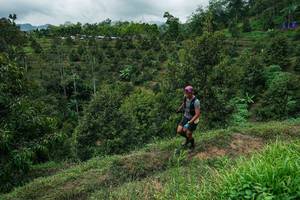 BIB: 
                            <button type="button" onclick="openModal(26396266)" class="btn btn-primary btn-sm float-right btn-popup" data-toggle="modal" data-target=".modal-high-quality">
                        <i class="fas fa-shopping-cart"></i> Add to Cart
                    </button>
                                            <button type="button" onclick="isThisMe(26396266, true)" class="btn btn-success btn-sm float-right btn-popup btn-isme hidden" data-toggle="tooltip" data-placement="bottom" title="นี่คือรูปของคุณใช่ไหม คลิกที่นี่เพื่อเอาเข้าอัลบั้ม">
                        <i class="fas fa-plus"></i> Add to album
                    </button>
                    <button type="button" onclick="isThisMe(26396266, false)" class="btn btn-warning btn-sm float-right btn-popup btn-isnotme hidden">
                        <i class="fas fa-ban"></i> Remove from album
                    </button>