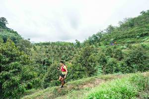 BIB: 
                            <button type="button" onclick="openModal(26396376)" class="btn btn-primary btn-sm float-right btn-popup" data-toggle="modal" data-target=".modal-high-quality">
                        <i class="fas fa-shopping-cart"></i> Add to Cart
                    </button>
                                            <button type="button" onclick="isThisMe(26396376, true)" class="btn btn-success btn-sm float-right btn-popup btn-isme hidden" data-toggle="tooltip" data-placement="bottom" title="นี่คือรูปของคุณใช่ไหม คลิกที่นี่เพื่อเอาเข้าอัลบั้ม">
                        <i class="fas fa-plus"></i> Add to album
                    </button>
                    <button type="button" onclick="isThisMe(26396376, false)" class="btn btn-warning btn-sm float-right btn-popup btn-isnotme hidden">
                        <i class="fas fa-ban"></i> Remove from album
                    </button>