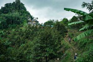 BIB: 
                            <button type="button" onclick="openModal(26396805)" class="btn btn-primary btn-sm float-right btn-popup" data-toggle="modal" data-target=".modal-high-quality">
                        <i class="fas fa-shopping-cart"></i> Add to Cart
                    </button>
                                            <button type="button" onclick="isThisMe(26396805, true)" class="btn btn-success btn-sm float-right btn-popup btn-isme hidden" data-toggle="tooltip" data-placement="bottom" title="นี่คือรูปของคุณใช่ไหม คลิกที่นี่เพื่อเอาเข้าอัลบั้ม">
                        <i class="fas fa-plus"></i> Add to album
                    </button>
                    <button type="button" onclick="isThisMe(26396805, false)" class="btn btn-warning btn-sm float-right btn-popup btn-isnotme hidden">
                        <i class="fas fa-ban"></i> Remove from album
                    </button>