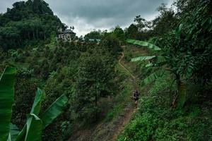 BIB: 
                            <button type="button" onclick="openModal(26396735)" class="btn btn-primary btn-sm float-right btn-popup" data-toggle="modal" data-target=".modal-high-quality">
                        <i class="fas fa-shopping-cart"></i> Add to Cart
                    </button>
                                            <button type="button" onclick="isThisMe(26396735, true)" class="btn btn-success btn-sm float-right btn-popup btn-isme hidden" data-toggle="tooltip" data-placement="bottom" title="นี่คือรูปของคุณใช่ไหม คลิกที่นี่เพื่อเอาเข้าอัลบั้ม">
                        <i class="fas fa-plus"></i> Add to album
                    </button>
                    <button type="button" onclick="isThisMe(26396735, false)" class="btn btn-warning btn-sm float-right btn-popup btn-isnotme hidden">
                        <i class="fas fa-ban"></i> Remove from album
                    </button>