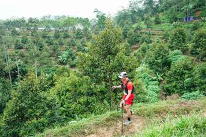 BIB: 
                            <button type="button" onclick="openModal(26397540)" class="btn btn-primary btn-sm float-right btn-popup" data-toggle="modal" data-target=".modal-high-quality">
                        <i class="fas fa-shopping-cart"></i> Add to Cart
                    </button>
                                            <button type="button" onclick="isThisMe(26397540, true)" class="btn btn-success btn-sm float-right btn-popup btn-isme hidden" data-toggle="tooltip" data-placement="bottom" title="นี่คือรูปของคุณใช่ไหม คลิกที่นี่เพื่อเอาเข้าอัลบั้ม">
                        <i class="fas fa-plus"></i> Add to album
                    </button>
                    <button type="button" onclick="isThisMe(26397540, false)" class="btn btn-warning btn-sm float-right btn-popup btn-isnotme hidden">
                        <i class="fas fa-ban"></i> Remove from album
                    </button>