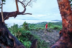 BIB: 
                            <button type="button" onclick="openModal(26372047)" class="btn btn-primary btn-sm float-right btn-popup" data-toggle="modal" data-target=".modal-high-quality">
                        <i class="fas fa-shopping-cart"></i> Add to Cart
                    </button>
                                            <button type="button" onclick="isThisMe(26372047, true)" class="btn btn-success btn-sm float-right btn-popup btn-isme hidden" data-toggle="tooltip" data-placement="bottom" title="นี่คือรูปของคุณใช่ไหม คลิกที่นี่เพื่อเอาเข้าอัลบั้ม">
                        <i class="fas fa-plus"></i> Add to album
                    </button>
                    <button type="button" onclick="isThisMe(26372047, false)" class="btn btn-warning btn-sm float-right btn-popup btn-isnotme hidden">
                        <i class="fas fa-ban"></i> Remove from album
                    </button>