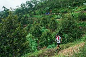 BIB: 
                            <button type="button" onclick="openModal(26402045)" class="btn btn-primary btn-sm float-right btn-popup" data-toggle="modal" data-target=".modal-high-quality">
                        <i class="fas fa-shopping-cart"></i> Add to Cart
                    </button>
                                            <button type="button" onclick="isThisMe(26402045, true)" class="btn btn-success btn-sm float-right btn-popup btn-isme hidden" data-toggle="tooltip" data-placement="bottom" title="นี่คือรูปของคุณใช่ไหม คลิกที่นี่เพื่อเอาเข้าอัลบั้ม">
                        <i class="fas fa-plus"></i> Add to album
                    </button>
                    <button type="button" onclick="isThisMe(26402045, false)" class="btn btn-warning btn-sm float-right btn-popup btn-isnotme hidden">
                        <i class="fas fa-ban"></i> Remove from album
                    </button>