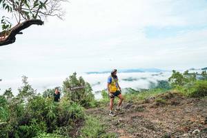 BIB: 
                            <button type="button" onclick="openModal(26378869)" class="btn btn-primary btn-sm float-right btn-popup" data-toggle="modal" data-target=".modal-high-quality">
                        <i class="fas fa-shopping-cart"></i> Add to Cart
                    </button>
                                            <button type="button" onclick="isThisMe(26378869, true)" class="btn btn-success btn-sm float-right btn-popup btn-isme hidden" data-toggle="tooltip" data-placement="bottom" title="นี่คือรูปของคุณใช่ไหม คลิกที่นี่เพื่อเอาเข้าอัลบั้ม">
                        <i class="fas fa-plus"></i> Add to album
                    </button>
                    <button type="button" onclick="isThisMe(26378869, false)" class="btn btn-warning btn-sm float-right btn-popup btn-isnotme hidden">
                        <i class="fas fa-ban"></i> Remove from album
                    </button>