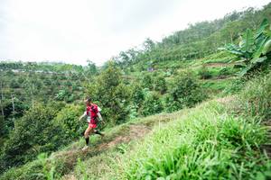 BIB: 
                            <button type="button" onclick="openModal(26395025)" class="btn btn-primary btn-sm float-right btn-popup" data-toggle="modal" data-target=".modal-high-quality">
                        <i class="fas fa-shopping-cart"></i> Add to Cart
                    </button>
                                            <button type="button" onclick="isThisMe(26395025, true)" class="btn btn-success btn-sm float-right btn-popup btn-isme hidden" data-toggle="tooltip" data-placement="bottom" title="นี่คือรูปของคุณใช่ไหม คลิกที่นี่เพื่อเอาเข้าอัลบั้ม">
                        <i class="fas fa-plus"></i> Add to album
                    </button>
                    <button type="button" onclick="isThisMe(26395025, false)" class="btn btn-warning btn-sm float-right btn-popup btn-isnotme hidden">
                        <i class="fas fa-ban"></i> Remove from album
                    </button>