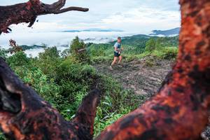 BIB: 
                            <button type="button" onclick="openModal(26372185)" class="btn btn-primary btn-sm float-right btn-popup" data-toggle="modal" data-target=".modal-high-quality">
                        <i class="fas fa-shopping-cart"></i> Add to Cart
                    </button>
                                            <button type="button" onclick="isThisMe(26372185, true)" class="btn btn-success btn-sm float-right btn-popup btn-isme hidden" data-toggle="tooltip" data-placement="bottom" title="นี่คือรูปของคุณใช่ไหม คลิกที่นี่เพื่อเอาเข้าอัลบั้ม">
                        <i class="fas fa-plus"></i> Add to album
                    </button>
                    <button type="button" onclick="isThisMe(26372185, false)" class="btn btn-warning btn-sm float-right btn-popup btn-isnotme hidden">
                        <i class="fas fa-ban"></i> Remove from album
                    </button>