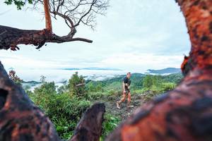 BIB: 
                            <button type="button" onclick="openModal(26372125)" class="btn btn-primary btn-sm float-right btn-popup" data-toggle="modal" data-target=".modal-high-quality">
                        <i class="fas fa-shopping-cart"></i> Add to Cart
                    </button>
                                            <button type="button" onclick="isThisMe(26372125, true)" class="btn btn-success btn-sm float-right btn-popup btn-isme hidden" data-toggle="tooltip" data-placement="bottom" title="นี่คือรูปของคุณใช่ไหม คลิกที่นี่เพื่อเอาเข้าอัลบั้ม">
                        <i class="fas fa-plus"></i> Add to album
                    </button>
                    <button type="button" onclick="isThisMe(26372125, false)" class="btn btn-warning btn-sm float-right btn-popup btn-isnotme hidden">
                        <i class="fas fa-ban"></i> Remove from album
                    </button>