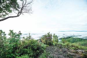 BIB: 
                            <button type="button" onclick="openModal(26372452)" class="btn btn-primary btn-sm float-right btn-popup" data-toggle="modal" data-target=".modal-high-quality">
                        <i class="fas fa-shopping-cart"></i> Add to Cart
                    </button>
                                            <button type="button" onclick="isThisMe(26372452, true)" class="btn btn-success btn-sm float-right btn-popup btn-isme hidden" data-toggle="tooltip" data-placement="bottom" title="นี่คือรูปของคุณใช่ไหม คลิกที่นี่เพื่อเอาเข้าอัลบั้ม">
                        <i class="fas fa-plus"></i> Add to album
                    </button>
                    <button type="button" onclick="isThisMe(26372452, false)" class="btn btn-warning btn-sm float-right btn-popup btn-isnotme hidden">
                        <i class="fas fa-ban"></i> Remove from album
                    </button>