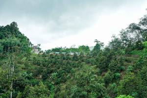 BIB: 
                            <button type="button" onclick="openModal(26396833)" class="btn btn-primary btn-sm float-right btn-popup" data-toggle="modal" data-target=".modal-high-quality">
                        <i class="fas fa-shopping-cart"></i> Add to Cart
                    </button>
                                            <button type="button" onclick="isThisMe(26396833, true)" class="btn btn-success btn-sm float-right btn-popup btn-isme hidden" data-toggle="tooltip" data-placement="bottom" title="นี่คือรูปของคุณใช่ไหม คลิกที่นี่เพื่อเอาเข้าอัลบั้ม">
                        <i class="fas fa-plus"></i> Add to album
                    </button>
                    <button type="button" onclick="isThisMe(26396833, false)" class="btn btn-warning btn-sm float-right btn-popup btn-isnotme hidden">
                        <i class="fas fa-ban"></i> Remove from album
                    </button>