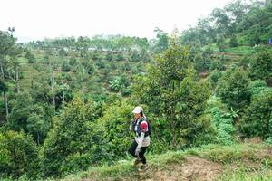 BIB: 
                            <button type="button" onclick="openModal(26397878)" class="btn btn-primary btn-sm float-right btn-popup" data-toggle="modal" data-target=".modal-high-quality">
                        <i class="fas fa-shopping-cart"></i> Add to Cart
                    </button>
                                            <button type="button" onclick="isThisMe(26397878, true)" class="btn btn-success btn-sm float-right btn-popup btn-isme hidden" data-toggle="tooltip" data-placement="bottom" title="นี่คือรูปของคุณใช่ไหม คลิกที่นี่เพื่อเอาเข้าอัลบั้ม">
                        <i class="fas fa-plus"></i> Add to album
                    </button>
                    <button type="button" onclick="isThisMe(26397878, false)" class="btn btn-warning btn-sm float-right btn-popup btn-isnotme hidden">
                        <i class="fas fa-ban"></i> Remove from album
                    </button>