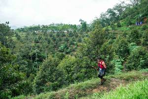 BIB: 
                            <button type="button" onclick="openModal(26395458)" class="btn btn-primary btn-sm float-right btn-popup" data-toggle="modal" data-target=".modal-high-quality">
                        <i class="fas fa-shopping-cart"></i> Add to Cart
                    </button>
                                            <button type="button" onclick="isThisMe(26395458, true)" class="btn btn-success btn-sm float-right btn-popup btn-isme hidden" data-toggle="tooltip" data-placement="bottom" title="นี่คือรูปของคุณใช่ไหม คลิกที่นี่เพื่อเอาเข้าอัลบั้ม">
                        <i class="fas fa-plus"></i> Add to album
                    </button>
                    <button type="button" onclick="isThisMe(26395458, false)" class="btn btn-warning btn-sm float-right btn-popup btn-isnotme hidden">
                        <i class="fas fa-ban"></i> Remove from album
                    </button>