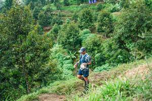 BIB: 
                            <button type="button" onclick="openModal(26401826)" class="btn btn-primary btn-sm float-right btn-popup" data-toggle="modal" data-target=".modal-high-quality">
                        <i class="fas fa-shopping-cart"></i> Add to Cart
                    </button>
                                            <button type="button" onclick="isThisMe(26401826, true)" class="btn btn-success btn-sm float-right btn-popup btn-isme hidden" data-toggle="tooltip" data-placement="bottom" title="นี่คือรูปของคุณใช่ไหม คลิกที่นี่เพื่อเอาเข้าอัลบั้ม">
                        <i class="fas fa-plus"></i> Add to album
                    </button>
                    <button type="button" onclick="isThisMe(26401826, false)" class="btn btn-warning btn-sm float-right btn-popup btn-isnotme hidden">
                        <i class="fas fa-ban"></i> Remove from album
                    </button>