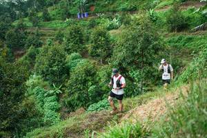 BIB: 
                            <button type="button" onclick="openModal(26401867)" class="btn btn-primary btn-sm float-right btn-popup" data-toggle="modal" data-target=".modal-high-quality">
                        <i class="fas fa-shopping-cart"></i> Add to Cart
                    </button>
                                            <button type="button" onclick="isThisMe(26401867, true)" class="btn btn-success btn-sm float-right btn-popup btn-isme hidden" data-toggle="tooltip" data-placement="bottom" title="นี่คือรูปของคุณใช่ไหม คลิกที่นี่เพื่อเอาเข้าอัลบั้ม">
                        <i class="fas fa-plus"></i> Add to album
                    </button>
                    <button type="button" onclick="isThisMe(26401867, false)" class="btn btn-warning btn-sm float-right btn-popup btn-isnotme hidden">
                        <i class="fas fa-ban"></i> Remove from album
                    </button>