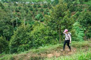 BIB: 
                            <button type="button" onclick="openModal(26397375)" class="btn btn-primary btn-sm float-right btn-popup" data-toggle="modal" data-target=".modal-high-quality">
                        <i class="fas fa-shopping-cart"></i> Add to Cart
                    </button>
                                            <button type="button" onclick="isThisMe(26397375, true)" class="btn btn-success btn-sm float-right btn-popup btn-isme hidden" data-toggle="tooltip" data-placement="bottom" title="นี่คือรูปของคุณใช่ไหม คลิกที่นี่เพื่อเอาเข้าอัลบั้ม">
                        <i class="fas fa-plus"></i> Add to album
                    </button>
                    <button type="button" onclick="isThisMe(26397375, false)" class="btn btn-warning btn-sm float-right btn-popup btn-isnotme hidden">
                        <i class="fas fa-ban"></i> Remove from album
                    </button>