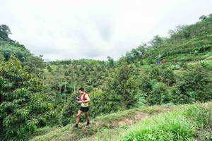 BIB: 
                            <button type="button" onclick="openModal(26396379)" class="btn btn-primary btn-sm float-right btn-popup" data-toggle="modal" data-target=".modal-high-quality">
                        <i class="fas fa-shopping-cart"></i> Add to Cart
                    </button>
                                            <button type="button" onclick="isThisMe(26396379, true)" class="btn btn-success btn-sm float-right btn-popup btn-isme hidden" data-toggle="tooltip" data-placement="bottom" title="นี่คือรูปของคุณใช่ไหม คลิกที่นี่เพื่อเอาเข้าอัลบั้ม">
                        <i class="fas fa-plus"></i> Add to album
                    </button>
                    <button type="button" onclick="isThisMe(26396379, false)" class="btn btn-warning btn-sm float-right btn-popup btn-isnotme hidden">
                        <i class="fas fa-ban"></i> Remove from album
                    </button>