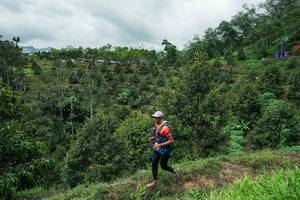 BIB: 
                            <button type="button" onclick="openModal(26395574)" class="btn btn-primary btn-sm float-right btn-popup" data-toggle="modal" data-target=".modal-high-quality">
                        <i class="fas fa-shopping-cart"></i> Add to Cart
                    </button>
                                            <button type="button" onclick="isThisMe(26395574, true)" class="btn btn-success btn-sm float-right btn-popup btn-isme hidden" data-toggle="tooltip" data-placement="bottom" title="นี่คือรูปของคุณใช่ไหม คลิกที่นี่เพื่อเอาเข้าอัลบั้ม">
                        <i class="fas fa-plus"></i> Add to album
                    </button>
                    <button type="button" onclick="isThisMe(26395574, false)" class="btn btn-warning btn-sm float-right btn-popup btn-isnotme hidden">
                        <i class="fas fa-ban"></i> Remove from album
                    </button>