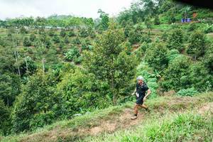 BIB: 
                            <button type="button" onclick="openModal(26397216)" class="btn btn-primary btn-sm float-right btn-popup" data-toggle="modal" data-target=".modal-high-quality">
                        <i class="fas fa-shopping-cart"></i> Add to Cart
                    </button>
                                            <button type="button" onclick="isThisMe(26397216, true)" class="btn btn-success btn-sm float-right btn-popup btn-isme hidden" data-toggle="tooltip" data-placement="bottom" title="นี่คือรูปของคุณใช่ไหม คลิกที่นี่เพื่อเอาเข้าอัลบั้ม">
                        <i class="fas fa-plus"></i> Add to album
                    </button>
                    <button type="button" onclick="isThisMe(26397216, false)" class="btn btn-warning btn-sm float-right btn-popup btn-isnotme hidden">
                        <i class="fas fa-ban"></i> Remove from album
                    </button>