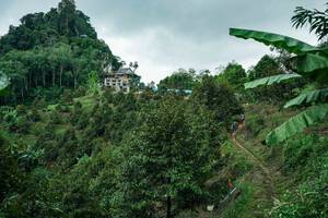 BIB: 
                            <button type="button" onclick="openModal(26396741)" class="btn btn-primary btn-sm float-right btn-popup" data-toggle="modal" data-target=".modal-high-quality">
                        <i class="fas fa-shopping-cart"></i> Add to Cart
                    </button>
                                            <button type="button" onclick="isThisMe(26396741, true)" class="btn btn-success btn-sm float-right btn-popup btn-isme hidden" data-toggle="tooltip" data-placement="bottom" title="นี่คือรูปของคุณใช่ไหม คลิกที่นี่เพื่อเอาเข้าอัลบั้ม">
                        <i class="fas fa-plus"></i> Add to album
                    </button>
                    <button type="button" onclick="isThisMe(26396741, false)" class="btn btn-warning btn-sm float-right btn-popup btn-isnotme hidden">
                        <i class="fas fa-ban"></i> Remove from album
                    </button>