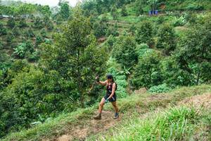 BIB: 
                            <button type="button" onclick="openModal(26397181)" class="btn btn-primary btn-sm float-right btn-popup" data-toggle="modal" data-target=".modal-high-quality">
                        <i class="fas fa-shopping-cart"></i> Add to Cart
                    </button>
                                            <button type="button" onclick="isThisMe(26397181, true)" class="btn btn-success btn-sm float-right btn-popup btn-isme hidden" data-toggle="tooltip" data-placement="bottom" title="นี่คือรูปของคุณใช่ไหม คลิกที่นี่เพื่อเอาเข้าอัลบั้ม">
                        <i class="fas fa-plus"></i> Add to album
                    </button>
                    <button type="button" onclick="isThisMe(26397181, false)" class="btn btn-warning btn-sm float-right btn-popup btn-isnotme hidden">
                        <i class="fas fa-ban"></i> Remove from album
                    </button>