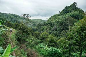 BIB: 
                            <button type="button" onclick="openModal(26396625)" class="btn btn-primary btn-sm float-right btn-popup" data-toggle="modal" data-target=".modal-high-quality">
                        <i class="fas fa-shopping-cart"></i> Add to Cart
                    </button>
                                            <button type="button" onclick="isThisMe(26396625, true)" class="btn btn-success btn-sm float-right btn-popup btn-isme hidden" data-toggle="tooltip" data-placement="bottom" title="นี่คือรูปของคุณใช่ไหม คลิกที่นี่เพื่อเอาเข้าอัลบั้ม">
                        <i class="fas fa-plus"></i> Add to album
                    </button>
                    <button type="button" onclick="isThisMe(26396625, false)" class="btn btn-warning btn-sm float-right btn-popup btn-isnotme hidden">
                        <i class="fas fa-ban"></i> Remove from album
                    </button>