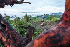 BIB: 
                            <button type="button" onclick="openModal(26372165)" class="btn btn-primary btn-sm float-right btn-popup" data-toggle="modal" data-target=".modal-high-quality">
                        <i class="fas fa-shopping-cart"></i> Add to Cart
                    </button>
                                            <button type="button" onclick="isThisMe(26372165, true)" class="btn btn-success btn-sm float-right btn-popup btn-isme hidden" data-toggle="tooltip" data-placement="bottom" title="นี่คือรูปของคุณใช่ไหม คลิกที่นี่เพื่อเอาเข้าอัลบั้ม">
                        <i class="fas fa-plus"></i> Add to album
                    </button>
                    <button type="button" onclick="isThisMe(26372165, false)" class="btn btn-warning btn-sm float-right btn-popup btn-isnotme hidden">
                        <i class="fas fa-ban"></i> Remove from album
                    </button>