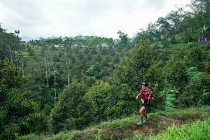 BIB: 
                            <button type="button" onclick="openModal(26395389)" class="btn btn-primary btn-sm float-right btn-popup" data-toggle="modal" data-target=".modal-high-quality">
                        <i class="fas fa-shopping-cart"></i> Add to Cart
                    </button>
                                            <button type="button" onclick="isThisMe(26395389, true)" class="btn btn-success btn-sm float-right btn-popup btn-isme hidden" data-toggle="tooltip" data-placement="bottom" title="นี่คือรูปของคุณใช่ไหม คลิกที่นี่เพื่อเอาเข้าอัลบั้ม">
                        <i class="fas fa-plus"></i> Add to album
                    </button>
                    <button type="button" onclick="isThisMe(26395389, false)" class="btn btn-warning btn-sm float-right btn-popup btn-isnotme hidden">
                        <i class="fas fa-ban"></i> Remove from album
                    </button>