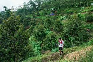 BIB: 
                            <button type="button" onclick="openModal(26402046)" class="btn btn-primary btn-sm float-right btn-popup" data-toggle="modal" data-target=".modal-high-quality">
                        <i class="fas fa-shopping-cart"></i> Add to Cart
                    </button>
                                            <button type="button" onclick="isThisMe(26402046, true)" class="btn btn-success btn-sm float-right btn-popup btn-isme hidden" data-toggle="tooltip" data-placement="bottom" title="นี่คือรูปของคุณใช่ไหม คลิกที่นี่เพื่อเอาเข้าอัลบั้ม">
                        <i class="fas fa-plus"></i> Add to album
                    </button>
                    <button type="button" onclick="isThisMe(26402046, false)" class="btn btn-warning btn-sm float-right btn-popup btn-isnotme hidden">
                        <i class="fas fa-ban"></i> Remove from album
                    </button>