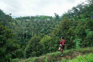 BIB: 
                            <button type="button" onclick="openModal(26395386)" class="btn btn-primary btn-sm float-right btn-popup" data-toggle="modal" data-target=".modal-high-quality">
                        <i class="fas fa-shopping-cart"></i> Add to Cart
                    </button>
                                            <button type="button" onclick="isThisMe(26395386, true)" class="btn btn-success btn-sm float-right btn-popup btn-isme hidden" data-toggle="tooltip" data-placement="bottom" title="นี่คือรูปของคุณใช่ไหม คลิกที่นี่เพื่อเอาเข้าอัลบั้ม">
                        <i class="fas fa-plus"></i> Add to album
                    </button>
                    <button type="button" onclick="isThisMe(26395386, false)" class="btn btn-warning btn-sm float-right btn-popup btn-isnotme hidden">
                        <i class="fas fa-ban"></i> Remove from album
                    </button>