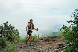 BIB: 
                            <button type="button" onclick="openModal(26389911)" class="btn btn-primary btn-sm float-right btn-popup" data-toggle="modal" data-target=".modal-high-quality">
                        <i class="fas fa-shopping-cart"></i> Add to Cart
                    </button>
                                            <button type="button" onclick="isThisMe(26389911, true)" class="btn btn-success btn-sm float-right btn-popup btn-isme hidden" data-toggle="tooltip" data-placement="bottom" title="นี่คือรูปของคุณใช่ไหม คลิกที่นี่เพื่อเอาเข้าอัลบั้ม">
                        <i class="fas fa-plus"></i> Add to album
                    </button>
                    <button type="button" onclick="isThisMe(26389911, false)" class="btn btn-warning btn-sm float-right btn-popup btn-isnotme hidden">
                        <i class="fas fa-ban"></i> Remove from album
                    </button>