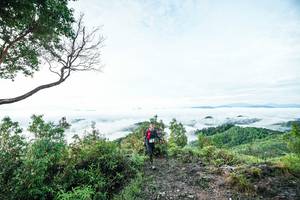 BIB: 
                            <button type="button" onclick="openModal(26372392)" class="btn btn-primary btn-sm float-right btn-popup" data-toggle="modal" data-target=".modal-high-quality">
                        <i class="fas fa-shopping-cart"></i> Add to Cart
                    </button>
                                            <button type="button" onclick="isThisMe(26372392, true)" class="btn btn-success btn-sm float-right btn-popup btn-isme hidden" data-toggle="tooltip" data-placement="bottom" title="นี่คือรูปของคุณใช่ไหม คลิกที่นี่เพื่อเอาเข้าอัลบั้ม">
                        <i class="fas fa-plus"></i> Add to album
                    </button>
                    <button type="button" onclick="isThisMe(26372392, false)" class="btn btn-warning btn-sm float-right btn-popup btn-isnotme hidden">
                        <i class="fas fa-ban"></i> Remove from album
                    </button>