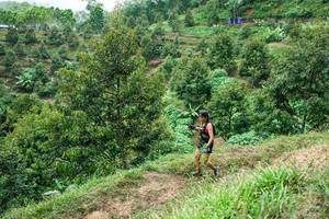 BIB: 
                            <button type="button" onclick="openModal(26397163)" class="btn btn-primary btn-sm float-right btn-popup" data-toggle="modal" data-target=".modal-high-quality">
                        <i class="fas fa-shopping-cart"></i> Add to Cart
                    </button>
                                            <button type="button" onclick="isThisMe(26397163, true)" class="btn btn-success btn-sm float-right btn-popup btn-isme hidden" data-toggle="tooltip" data-placement="bottom" title="นี่คือรูปของคุณใช่ไหม คลิกที่นี่เพื่อเอาเข้าอัลบั้ม">
                        <i class="fas fa-plus"></i> Add to album
                    </button>
                    <button type="button" onclick="isThisMe(26397163, false)" class="btn btn-warning btn-sm float-right btn-popup btn-isnotme hidden">
                        <i class="fas fa-ban"></i> Remove from album
                    </button>